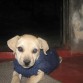 soy muy cariñosoooo ¡¡¡¡¡ :)